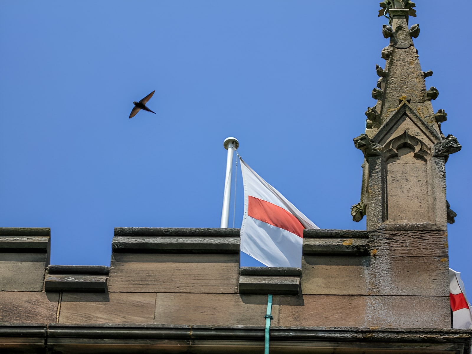 St George's Cross flags flying on a Gothic stone building parapet under a clear blue sky with a swift in flight