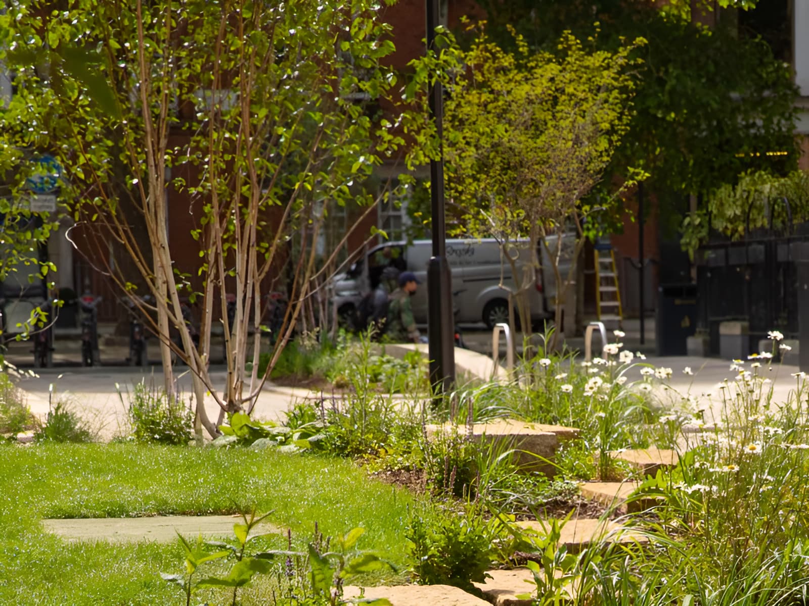 Urban green space with multi-stem trees, wildflowers and stepping stones beside a brick building on a sunny day.
