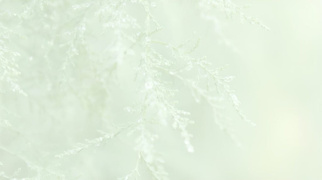 Frosted evergreen branches with delicate ice crystals on a soft pale green background